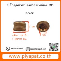 BD01 รูปโชว์9